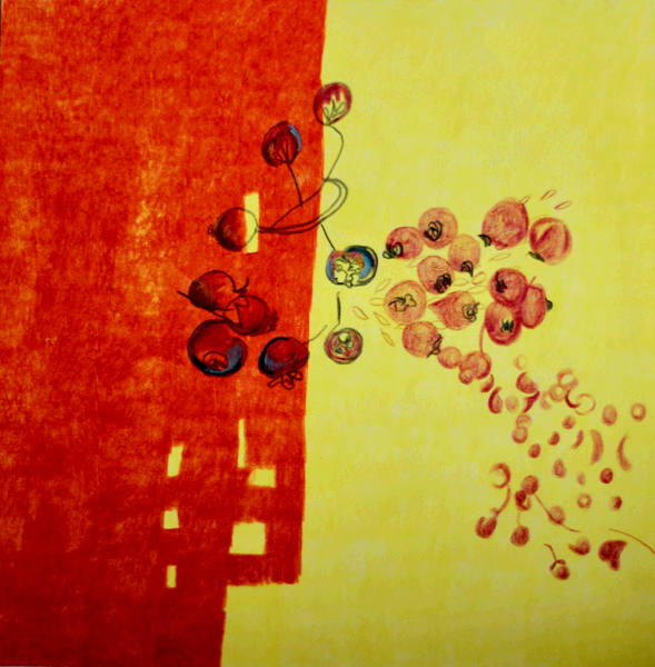 Crayons de couleur Sophie Thibaudat